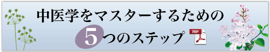 中医学をマスターする５つのステップ